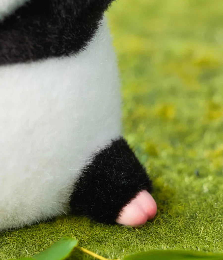 LuLu the Piggy Panda Lulu