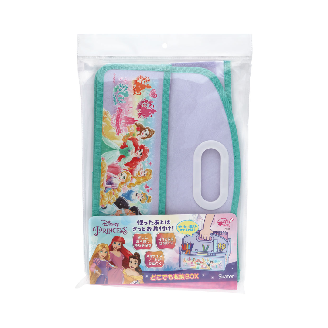 Skater Disney Princesses Storage Box