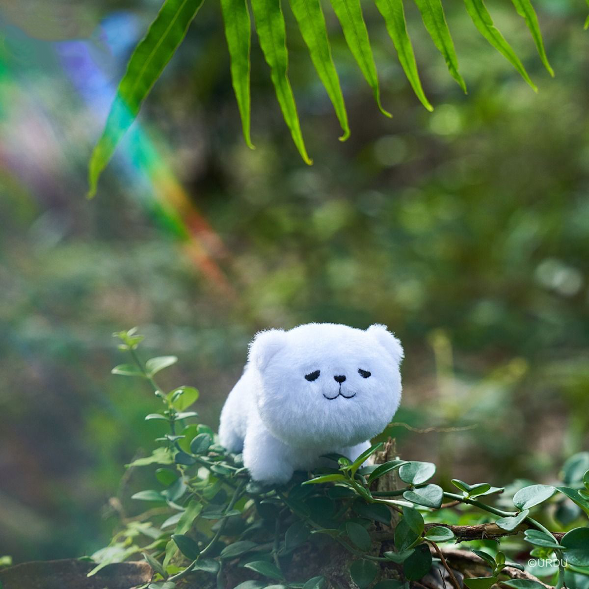 FUWAFUWA Blind Box - Bear Collection