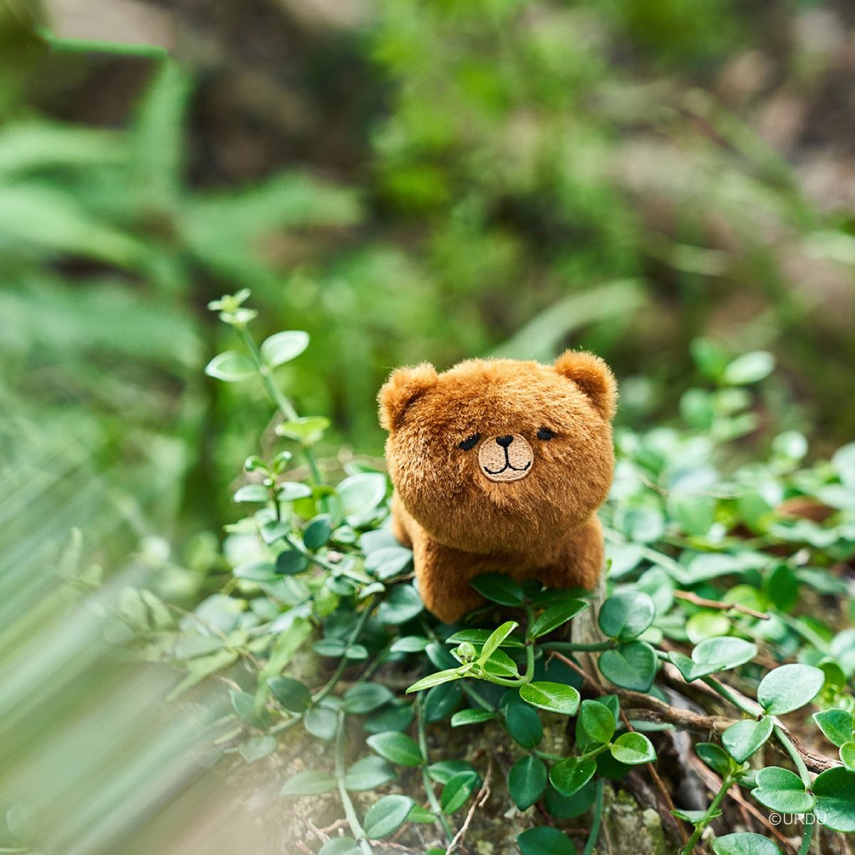 FUWAFUWA Blind Box - Bear Collection