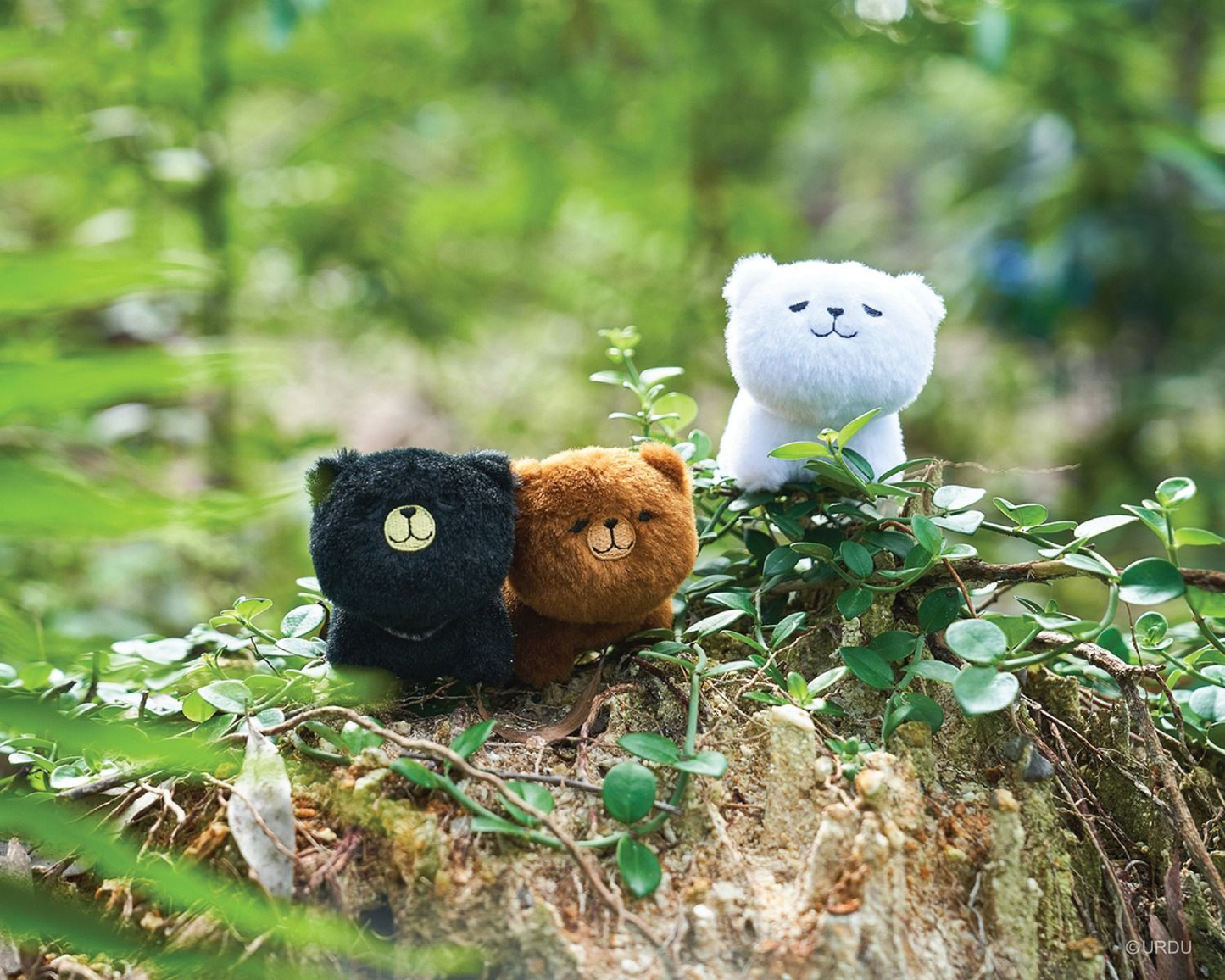 FUWAFUWA Blind Box - Bear Collection