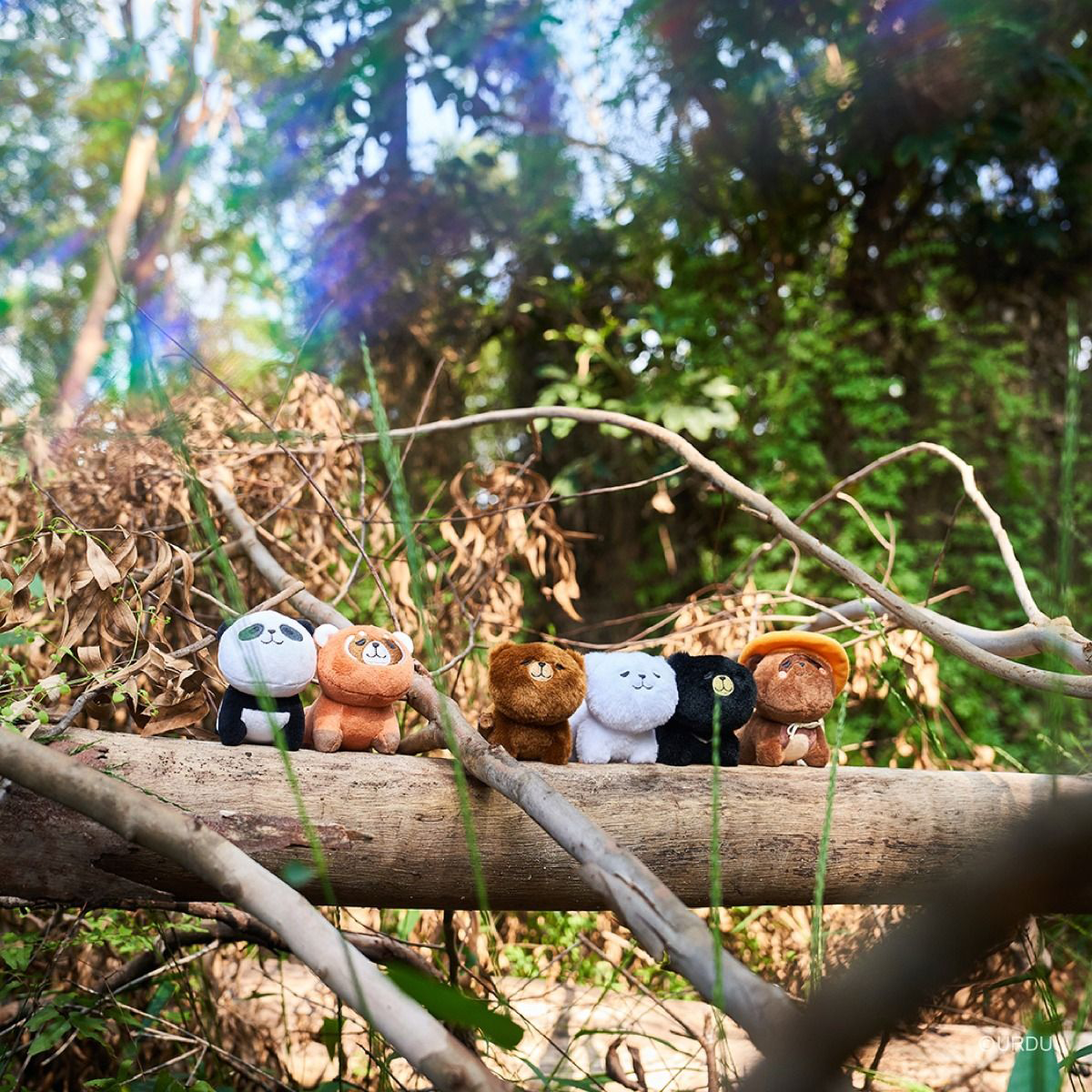 FUWAFUWA Blind Box - Bear Collection