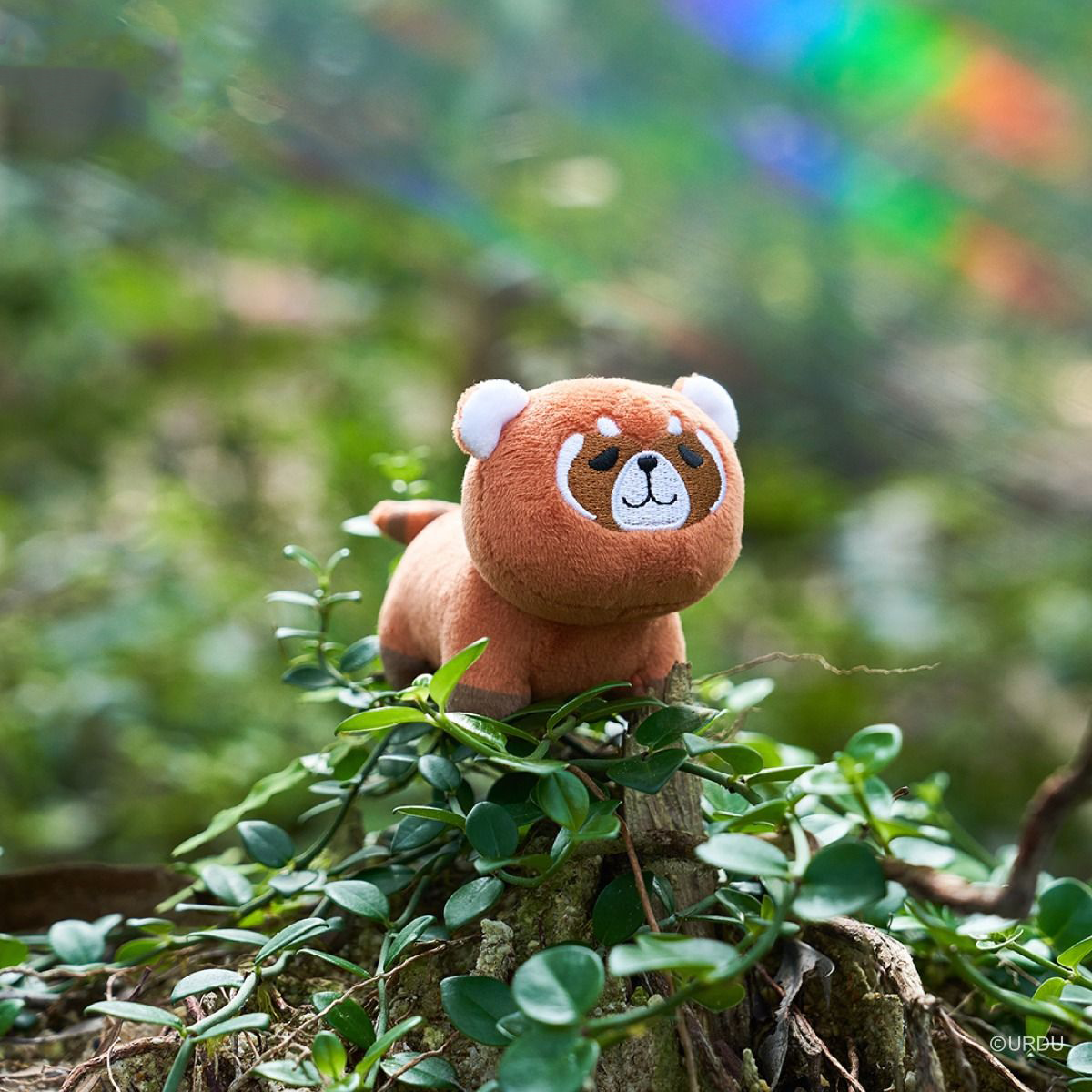 FUWAFUWA Blind Box - Bear Collection
