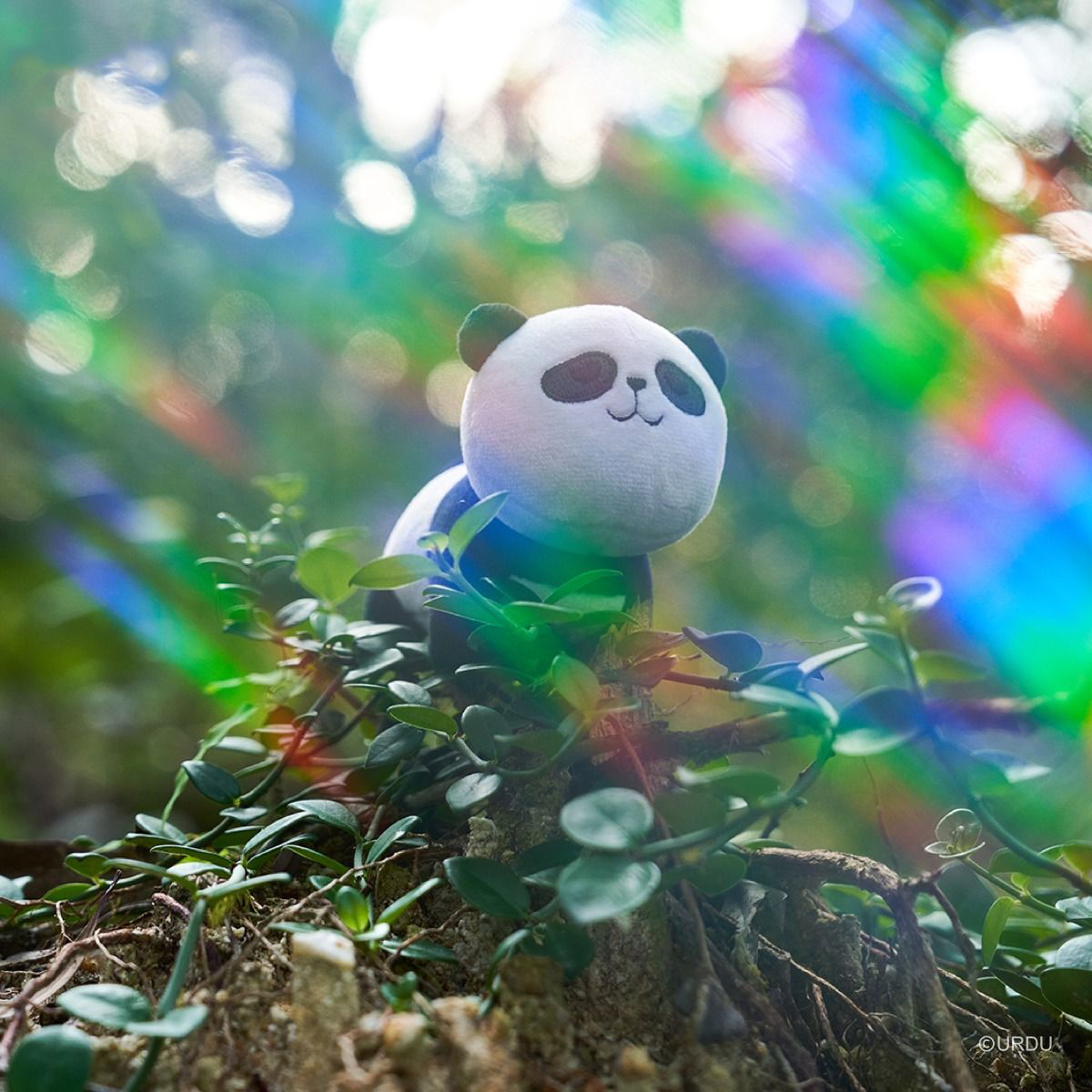 FUWAFUWA Blind Box - Bear Collection