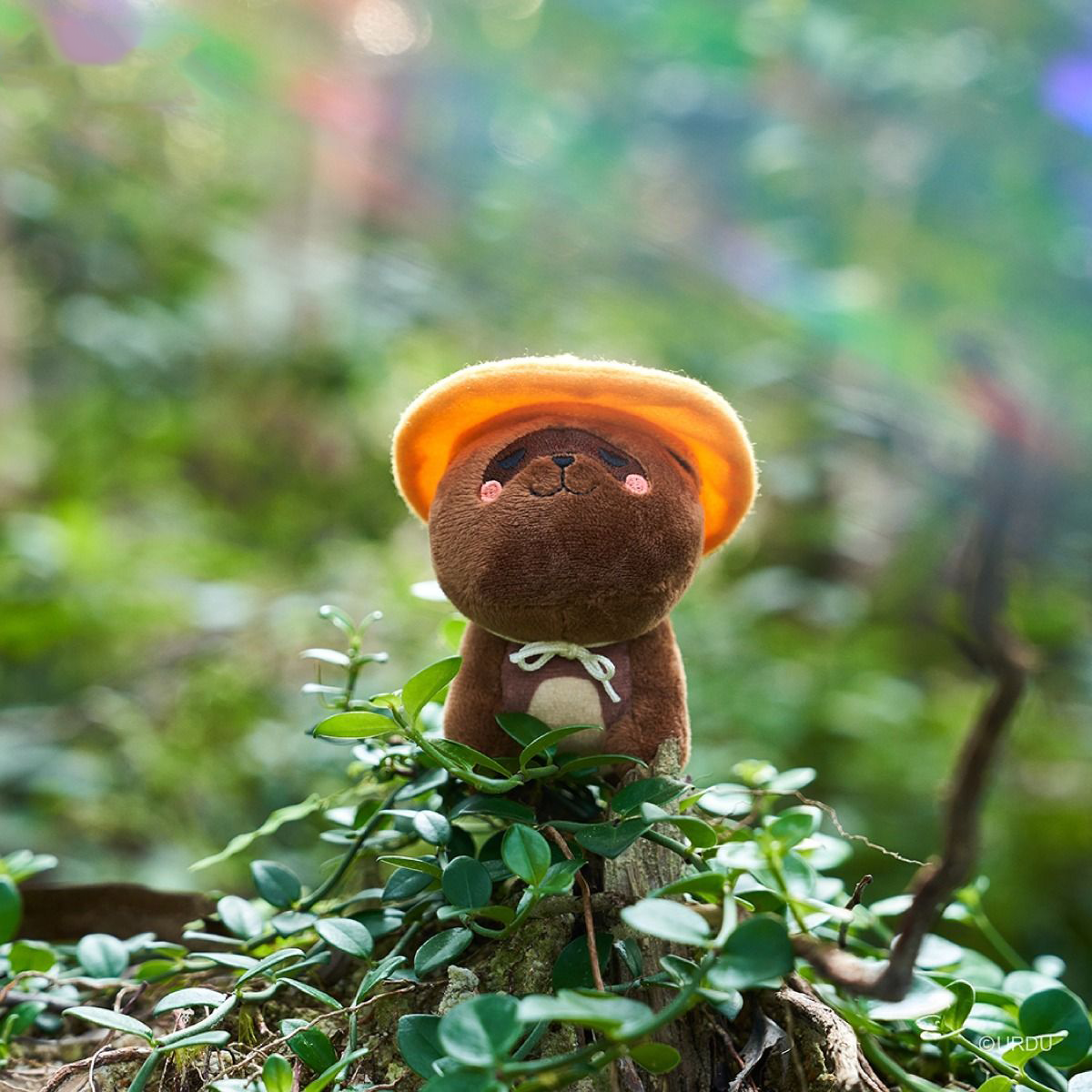 FUWAFUWA Blind Box - Bear Collection