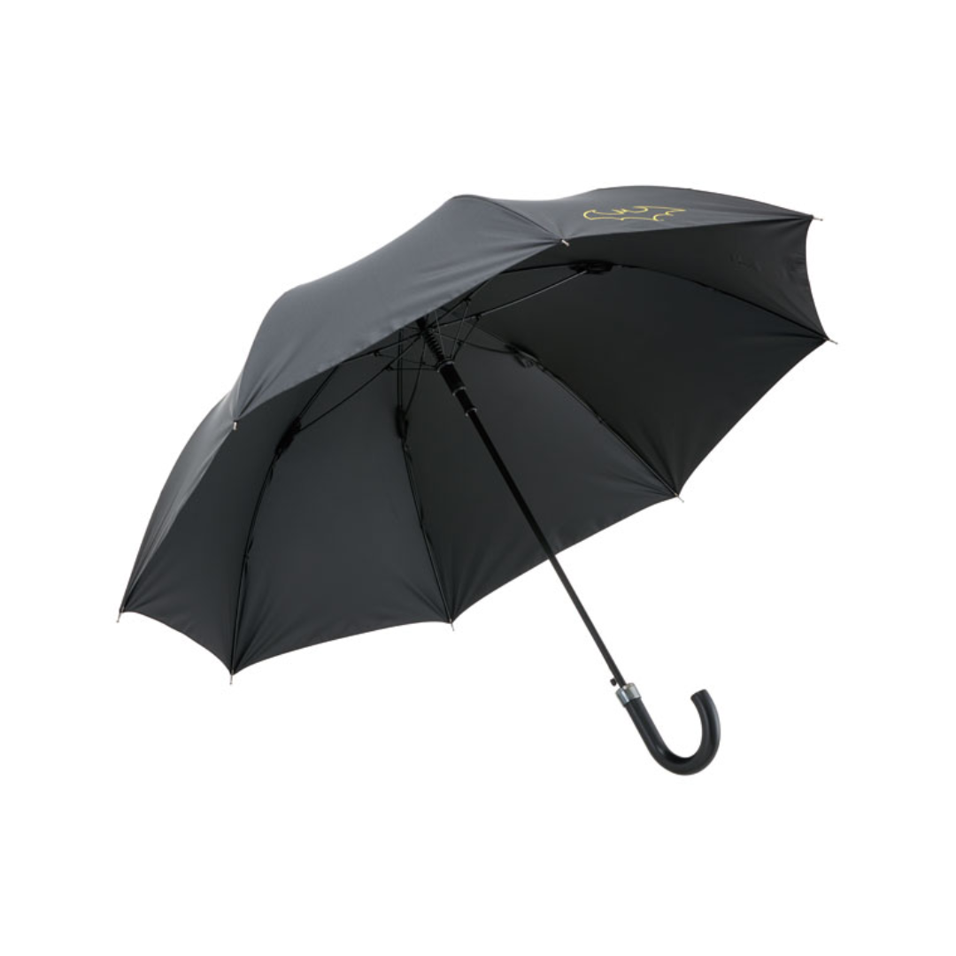 skater-dc-batman-pvc-umbrella-65cm_4